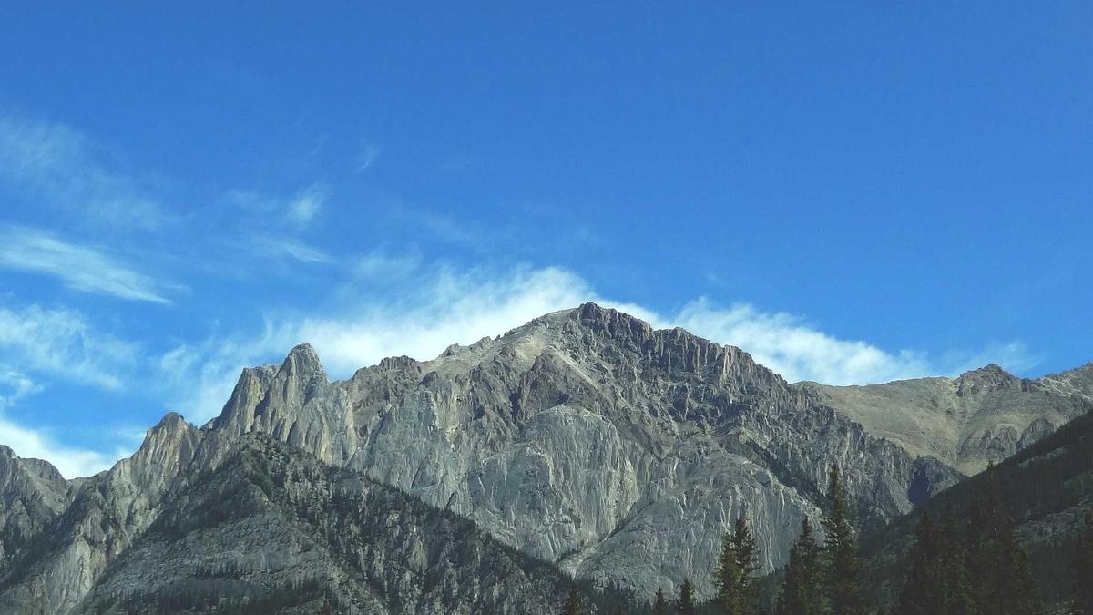 Illustration zu Larry Ellison