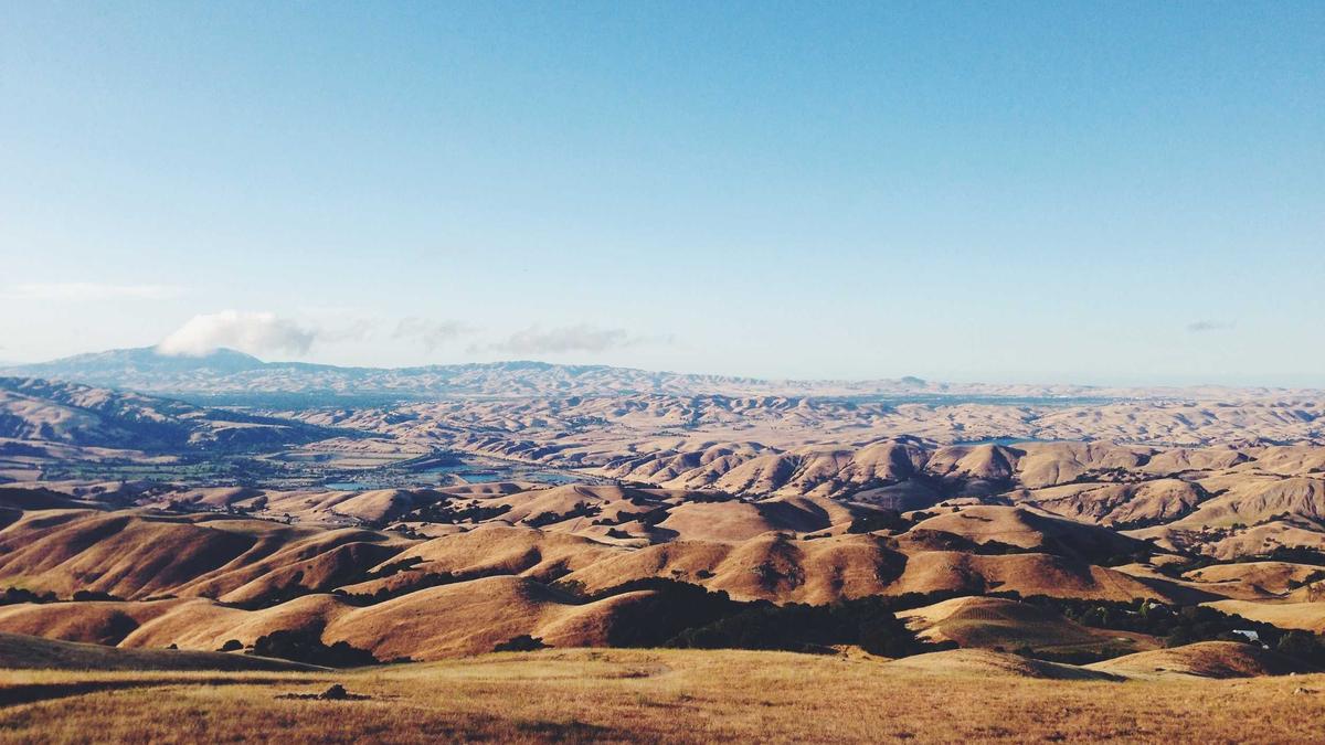 Detailansicht: Larry Ellison