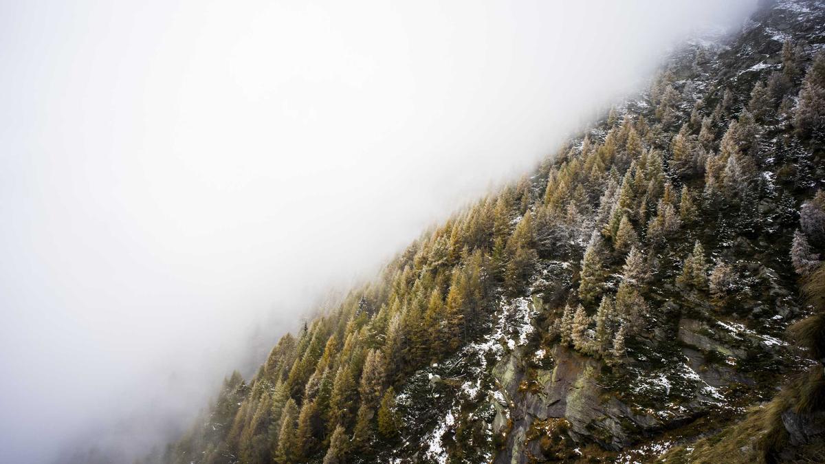 Live Arena Symbolbild zum Thema Live Arena