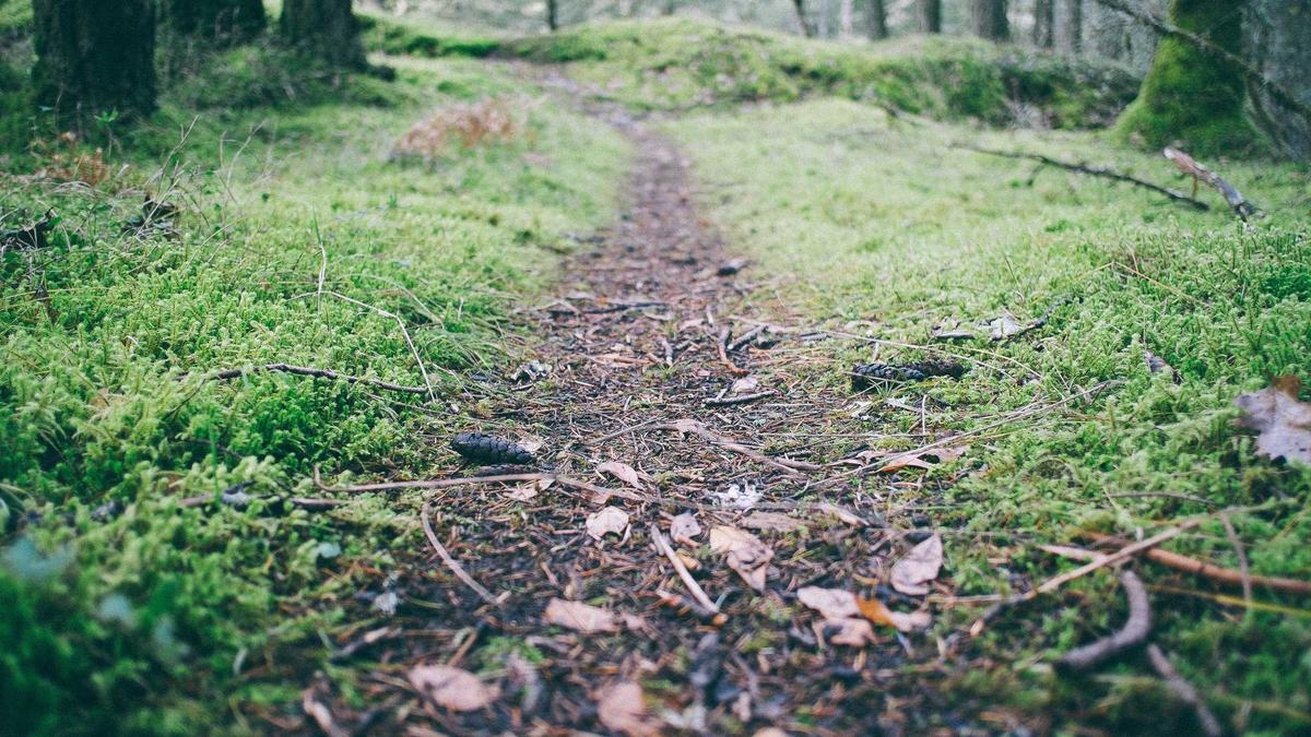 Illustration zu Mario Barth