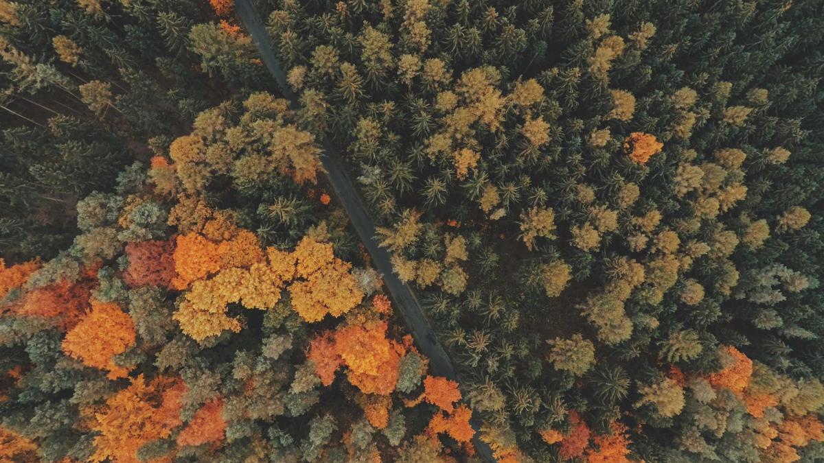 Symbolbild zum Thema Mehr Abschiebungen