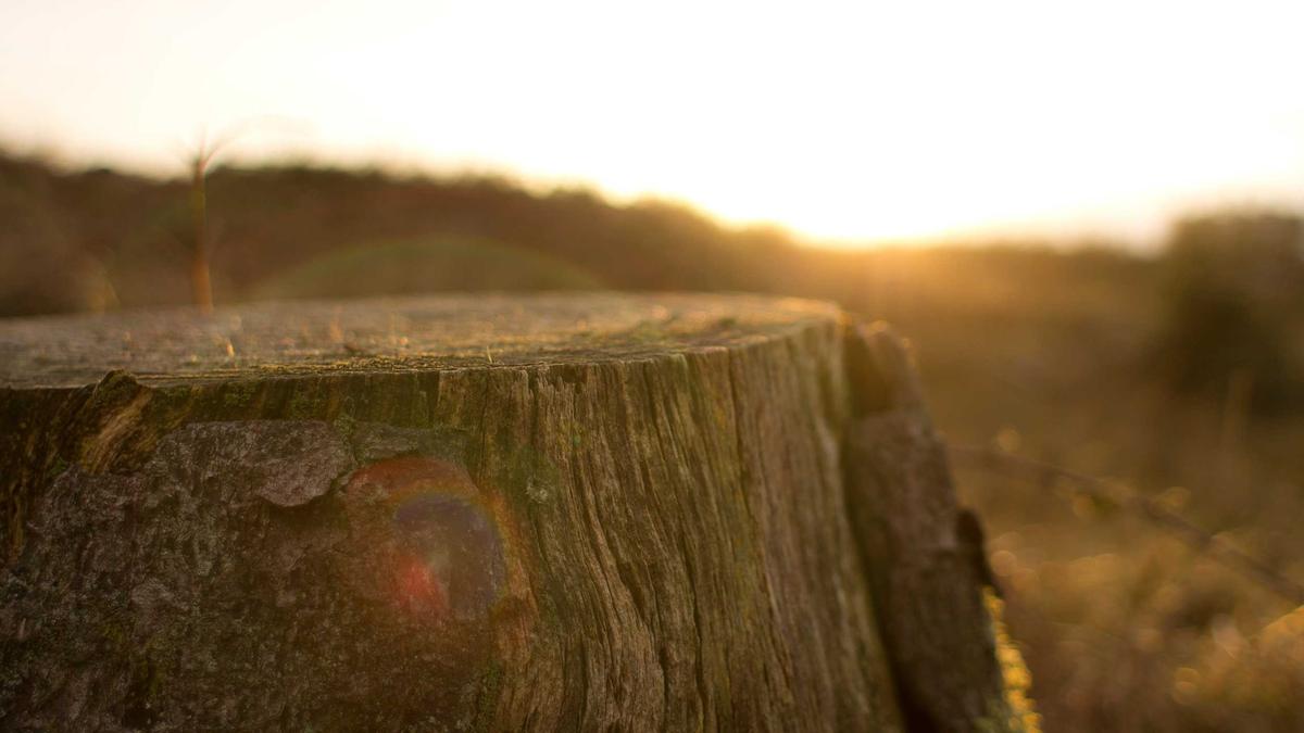 Symbolbild zum Thema Milano Rapper