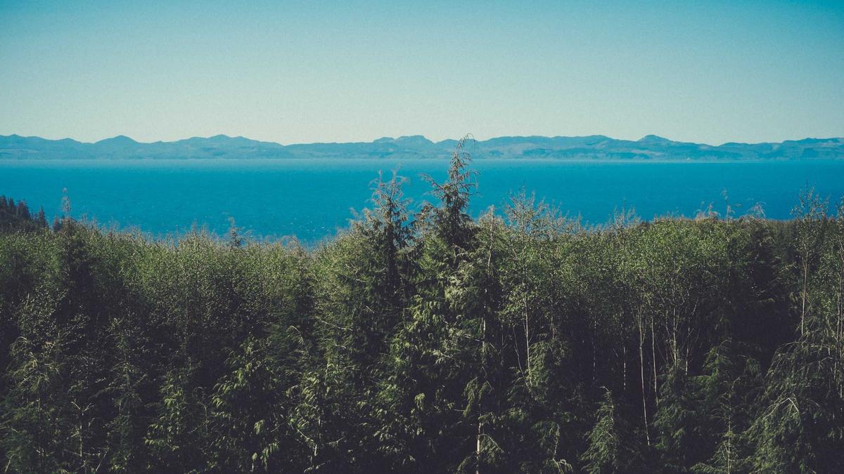 Illustration zu Nachrichten Aktuell