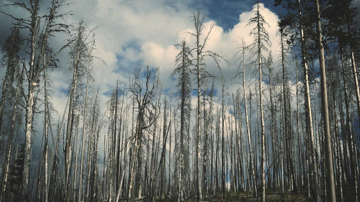 Nottingham – Liverpool Detailansicht: Nottingham – Liverpool