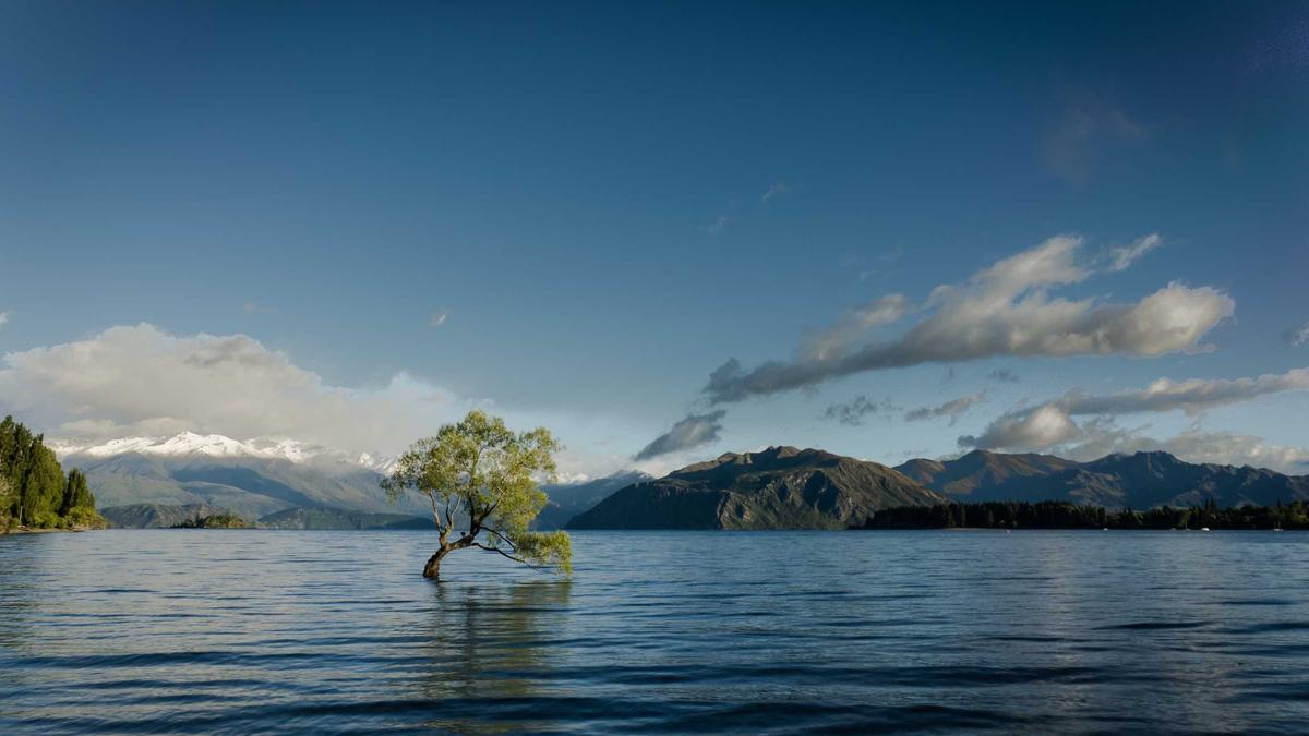 Detailansicht: Obdachloser It-mann Identität