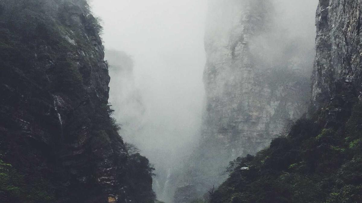 Detailansicht: Patagonien