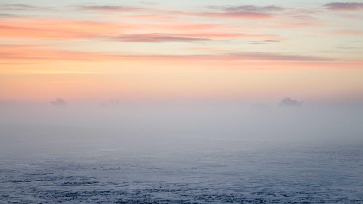 Illustration zu Paul Ronzheimer