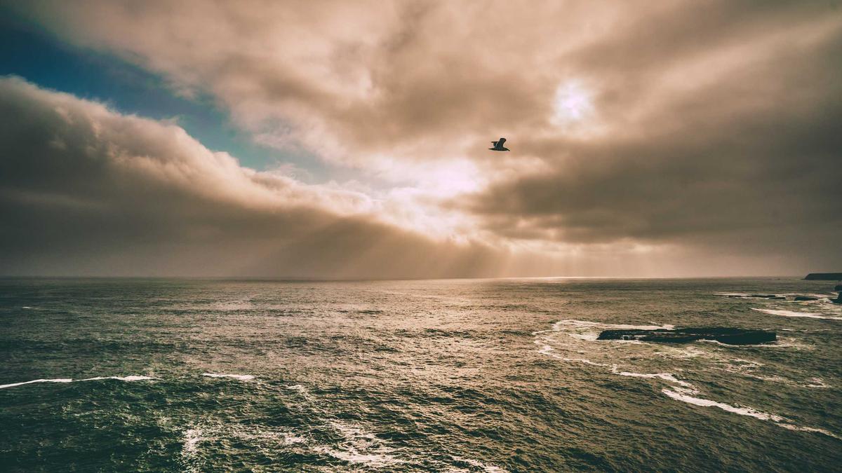 Detailansicht: Pokemon Wind Und Welle