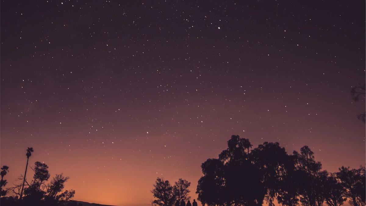 Illustration zu Populistischer Islamismus