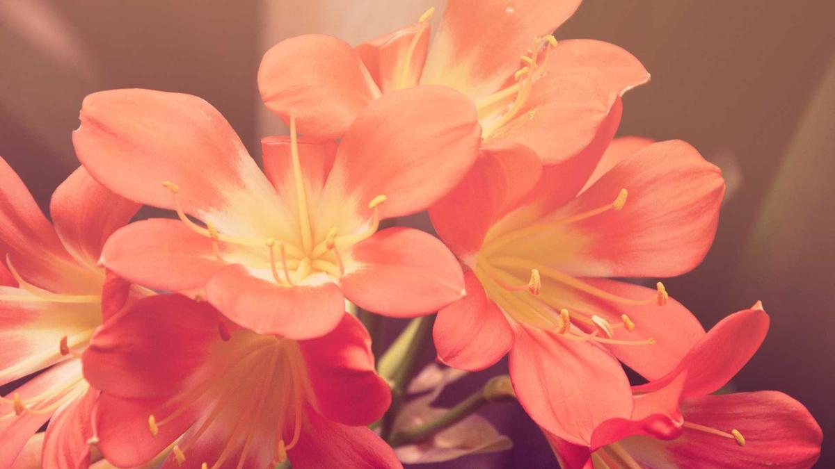 Detailansicht: Positive Sätze Kinder