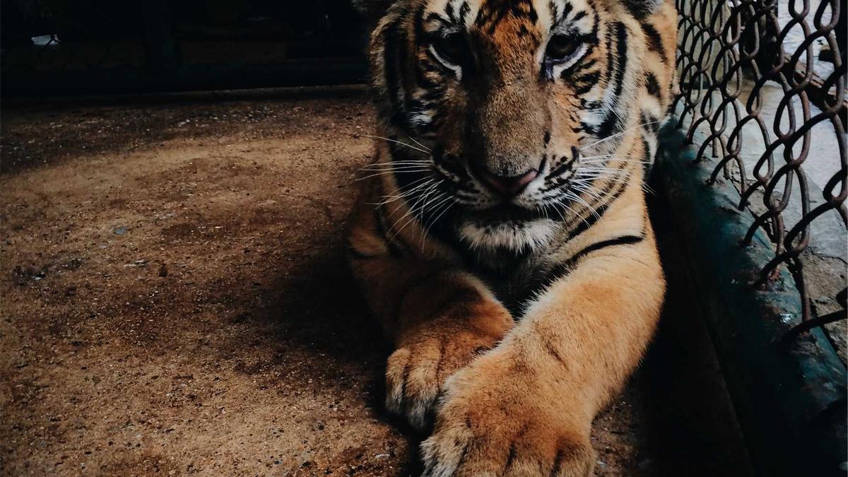 Raubüberfall Willi Weber Symbolbild zum Thema Raubüberfall Willi Weber