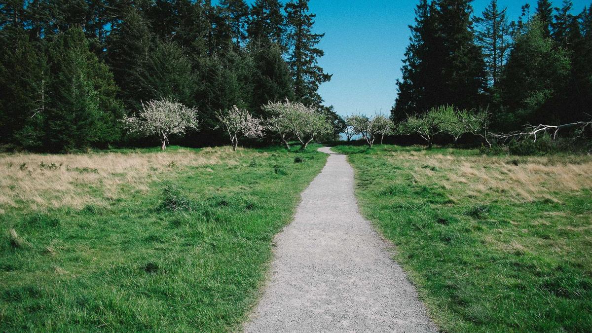 Detailansicht: Rechtsextreme Straftaten