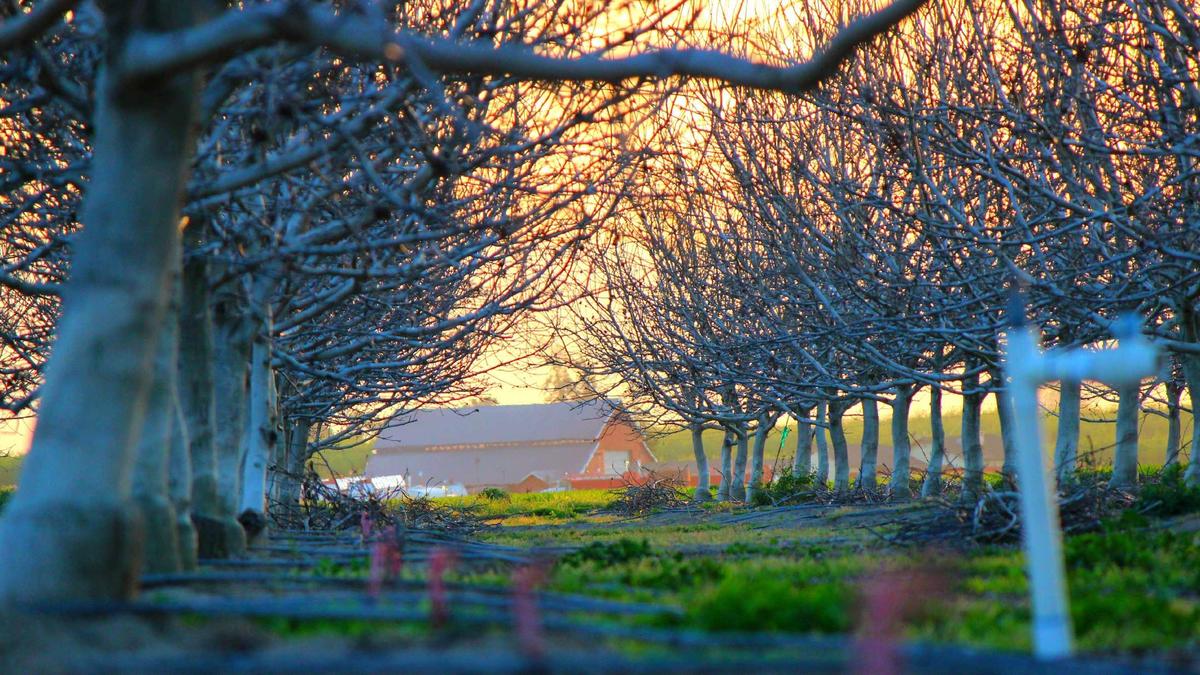 Illustration zu Rücktritt Latein Lehrplangruppe