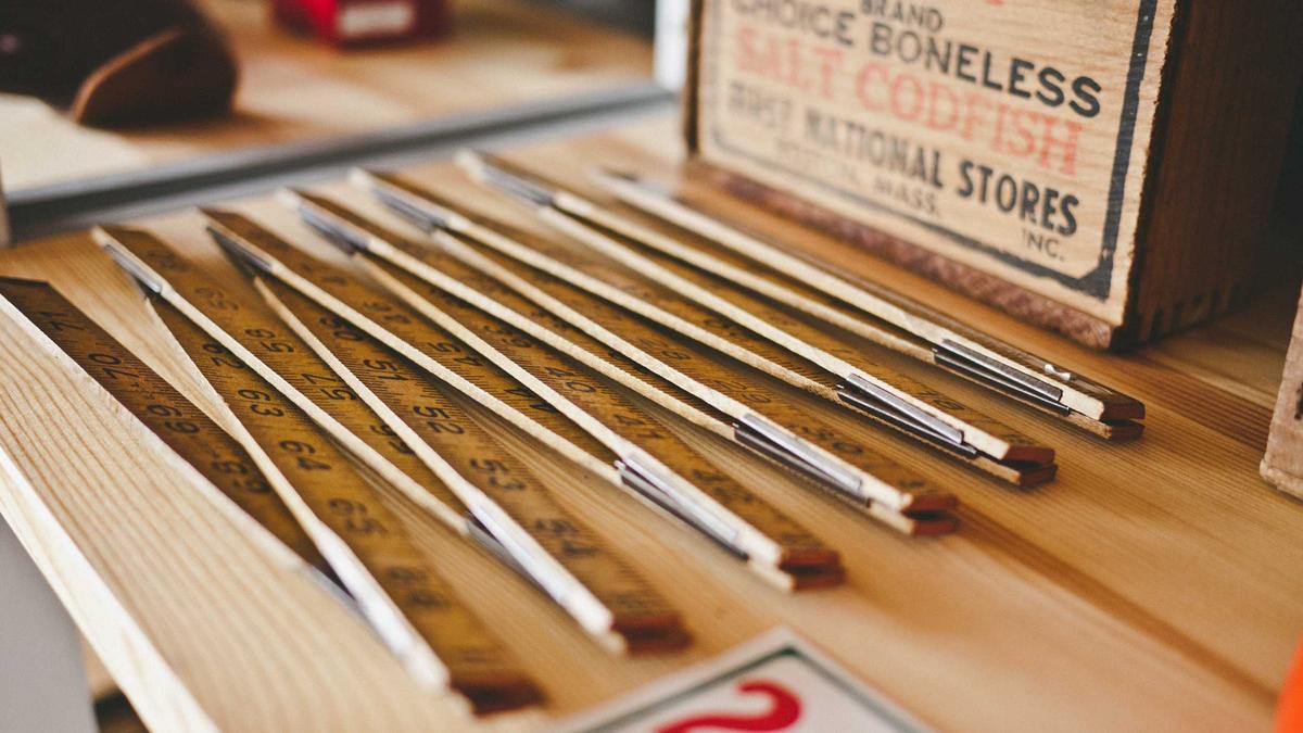 Illustration zu Schwarzfußkatze