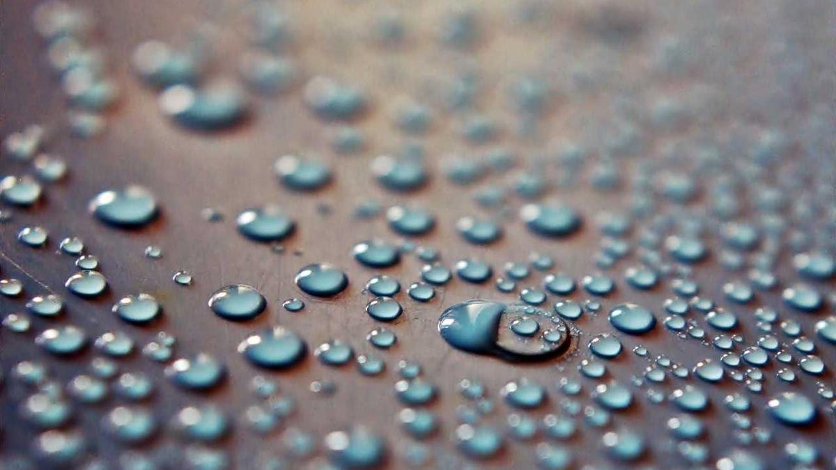 Simon Gosejohann Detailansicht: Simon Gosejohann