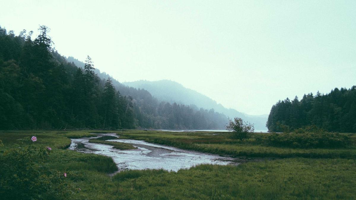 Detailansicht: Sonderpädagogik Quote