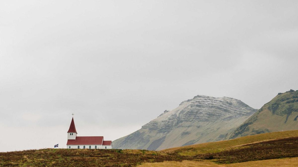 Illustration zu Tim Mälzer