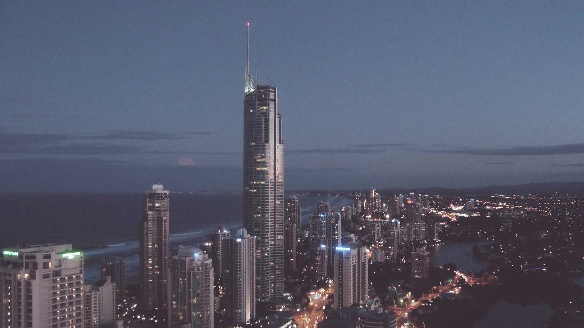 Illustration zu Toter Pottwal