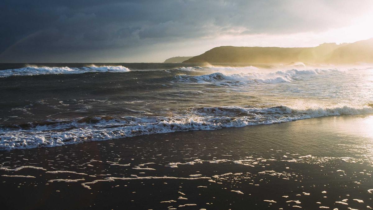 Symbolbild zum Thema Toter Pottwal