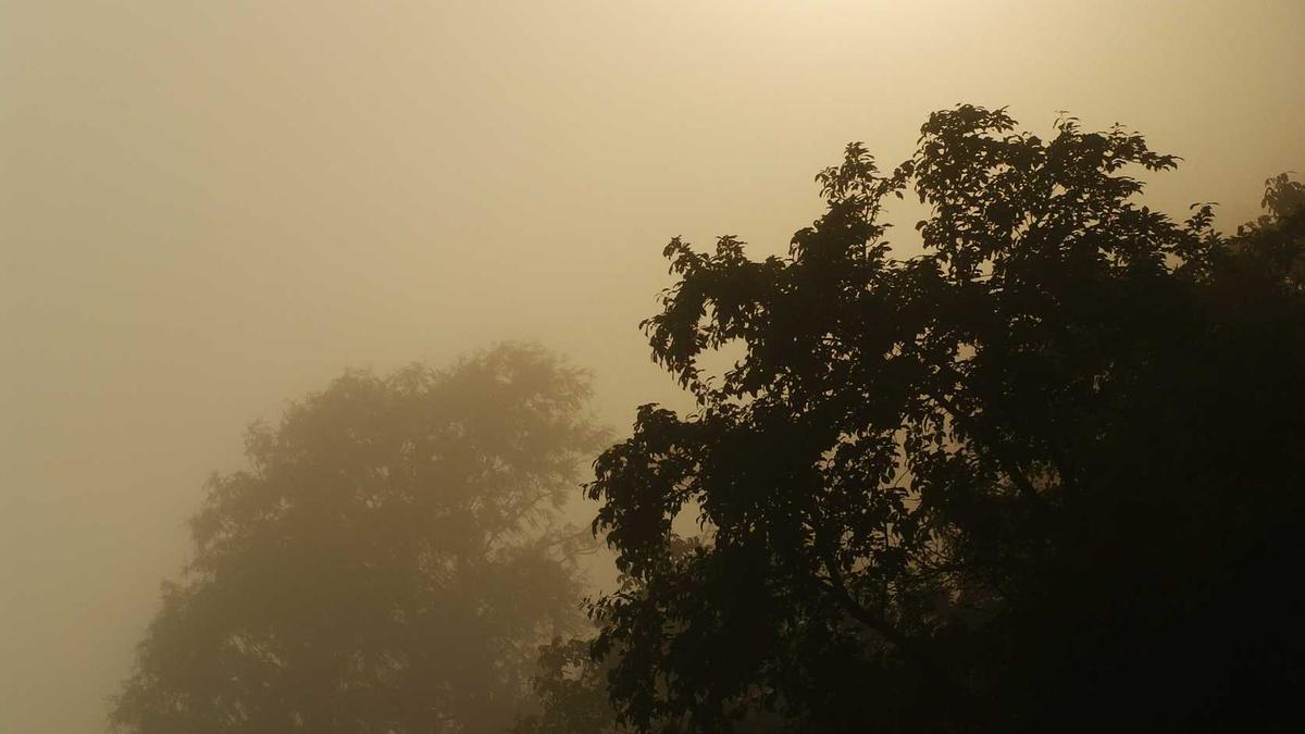 Symbolbild zum Thema Trump Zölle Schweiz