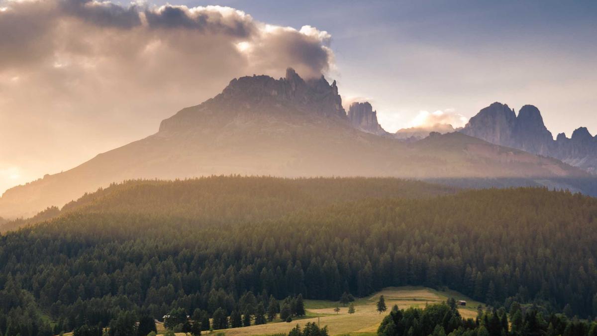 Detailansicht: Ukraine News