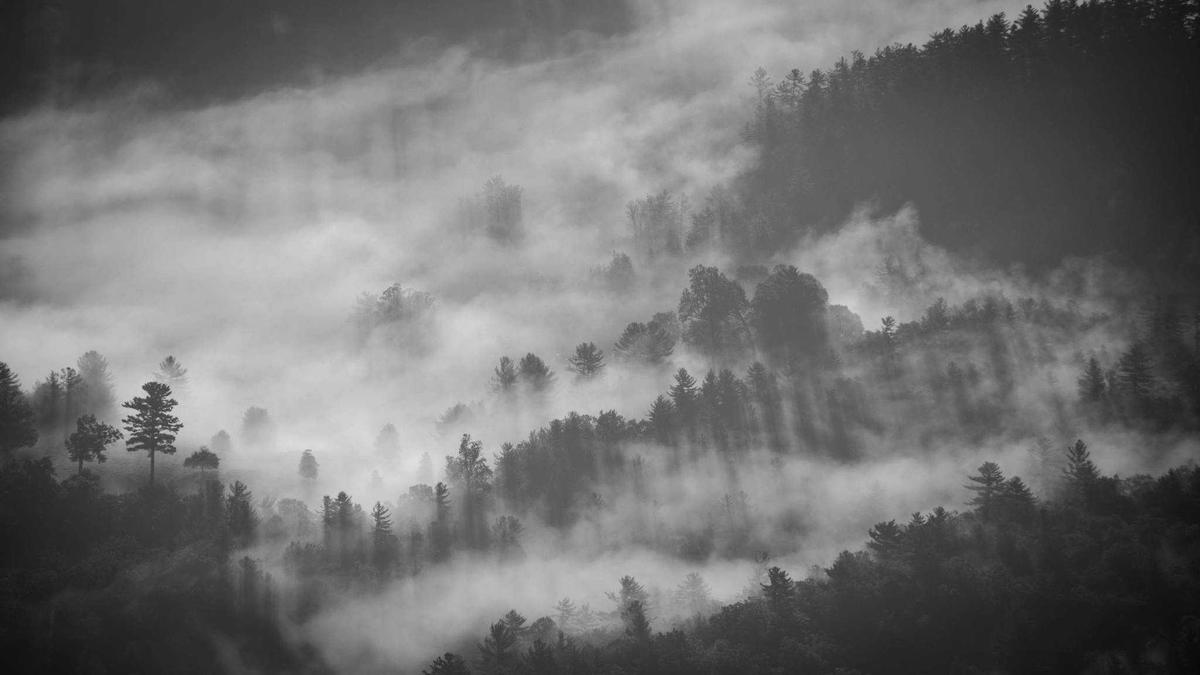 Symbolbild zum Thema Wer Ist Gustav Schäfer
