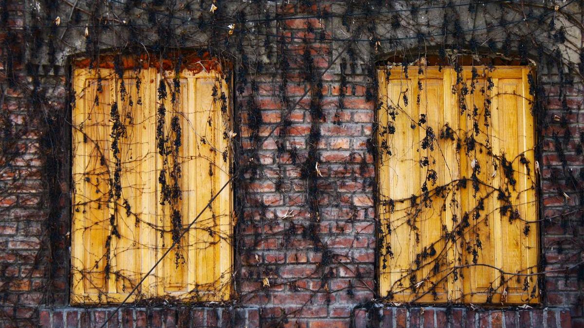 Symbolbild zum Thema Winter Wetterbilanz