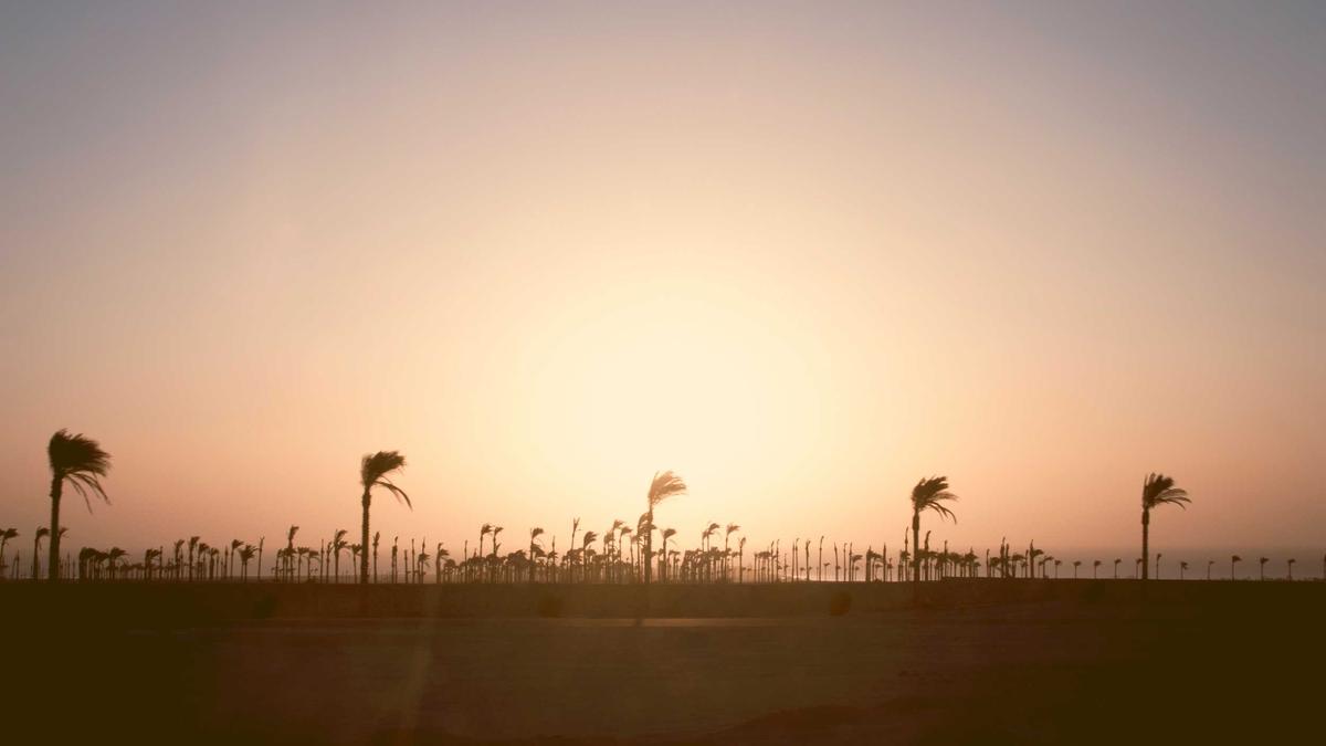 Wintersturm USA Symbolbild zum Thema Wintersturm USA