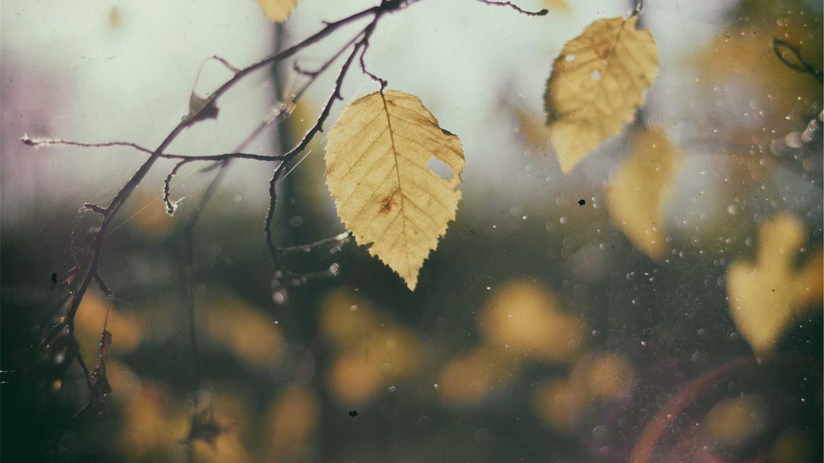 Symbolbild zum Thema Wotan Wilke Möhring Anna Schudt