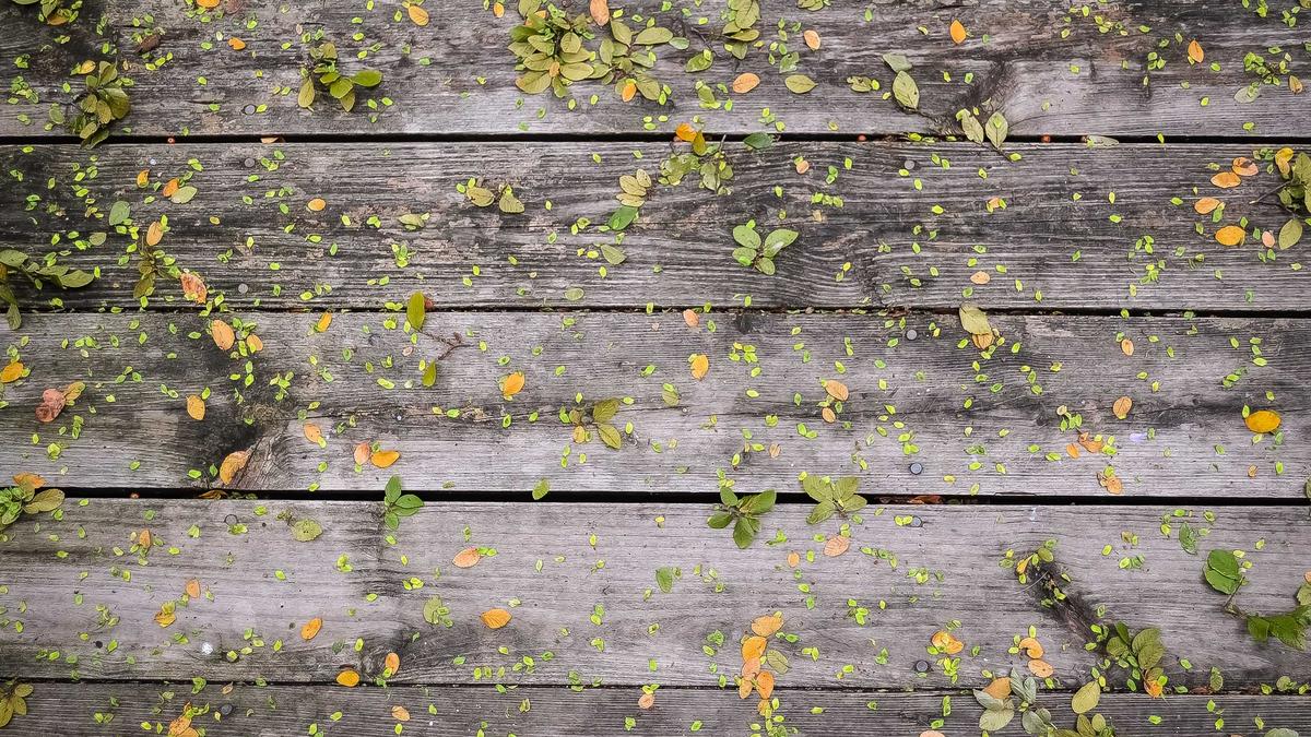 Symbolbild zum Thema Zara Larsson