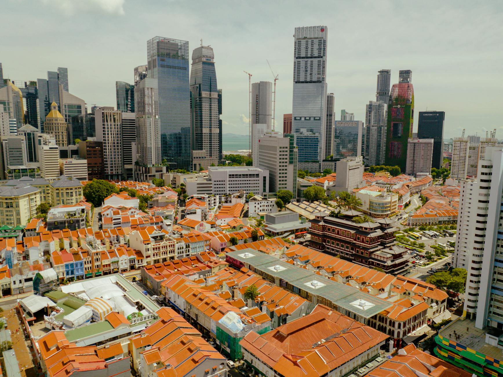 Detailansicht: AFD Interne Probleme