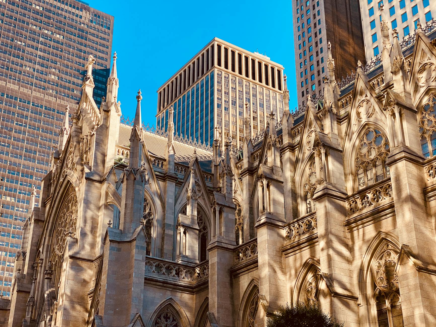 Symbolbild zum Thema Alexandra Saint Mleux