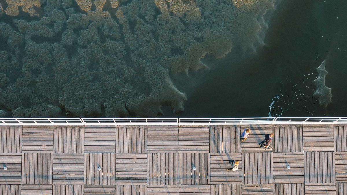 Symbolbild zum Thema Ampelkoalition Kritik