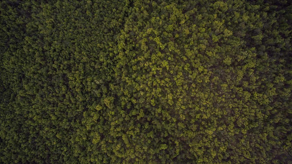 Detailansicht: Andreas Khol Neues Buch