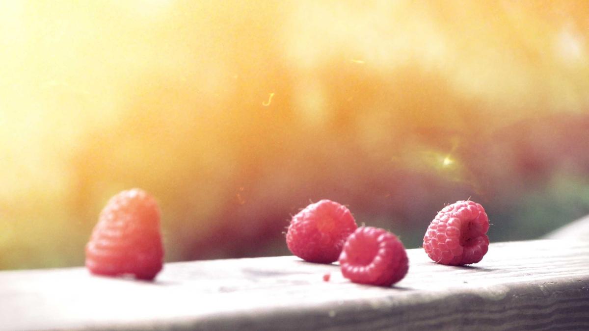 Illustration zu Armin Reutershahn