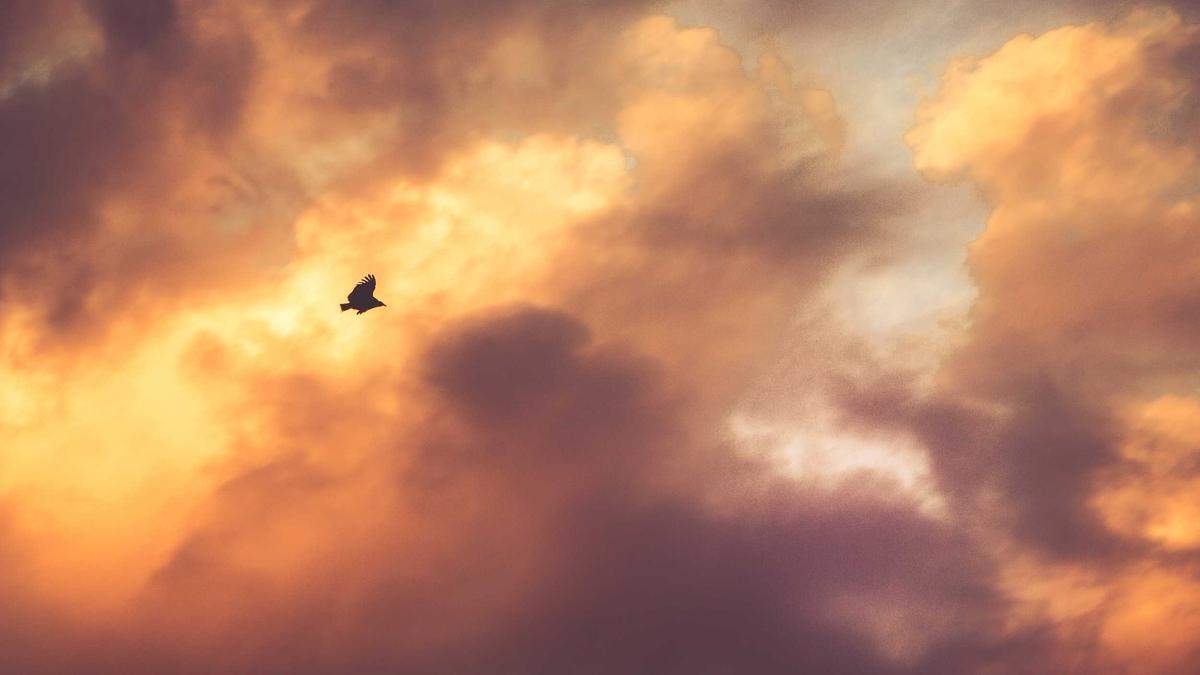 Bahnhof Zoo Film Symbolbild zum Thema Bahnhof Zoo Film