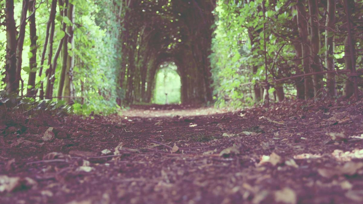 Illustration zu Bombendrohung Kaiserslautern