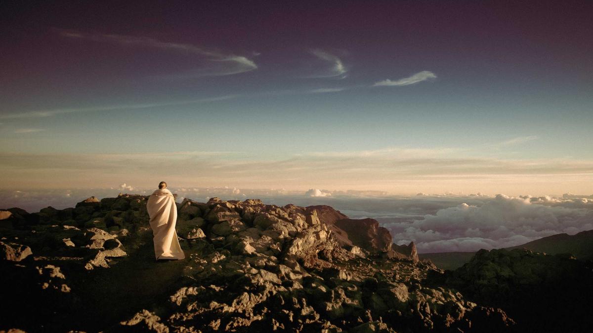 Buckelwal Gestrandet Illustration zu Buckelwal Gestrandet