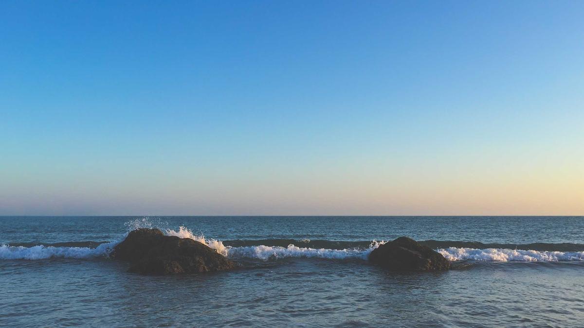Illustration zu Buckelwal Ostsee