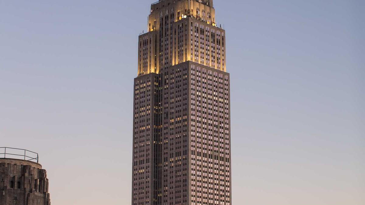 Symbolbild zum Thema Buckelwal Ostsee