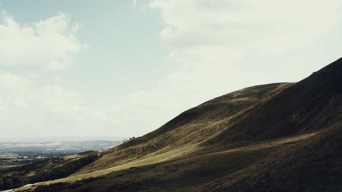 Detailansicht: Buckelwal Ostsee