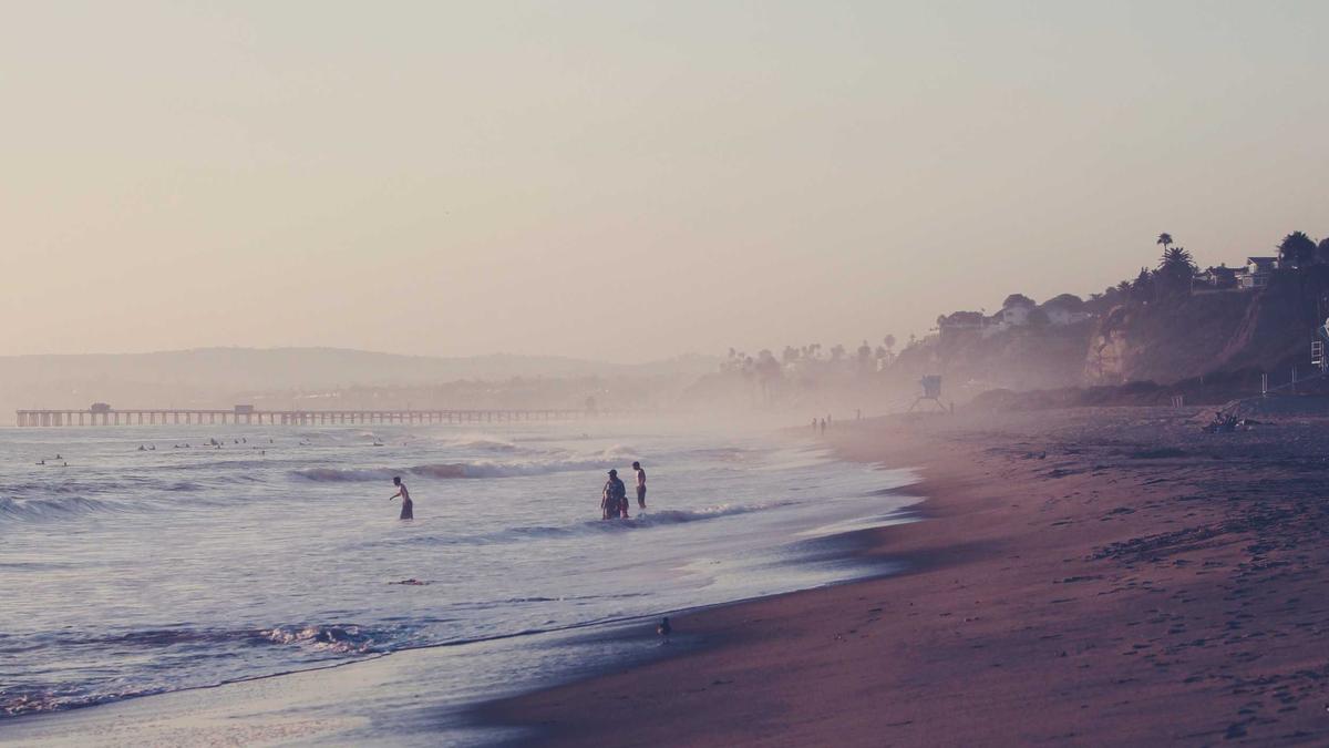 Detailansicht: Buckelwal Ostsee