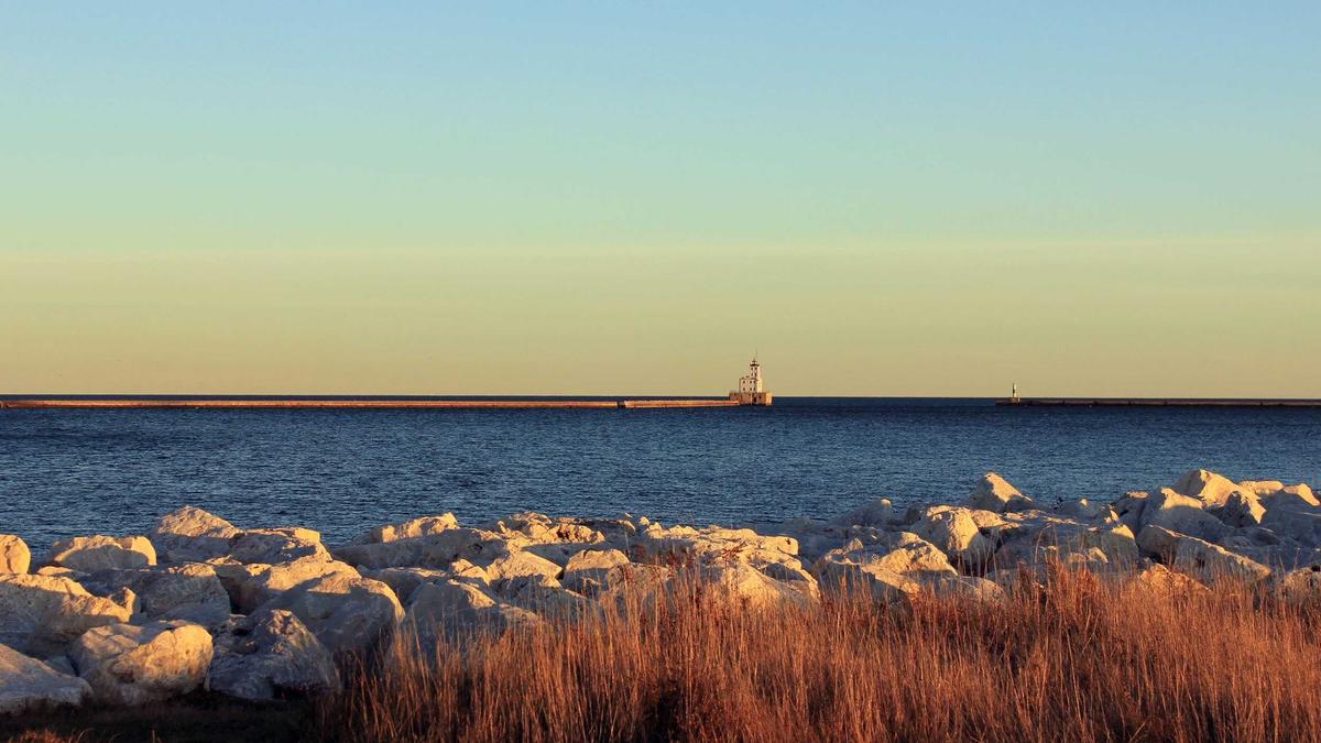 Detailansicht: Buckelwal Ostsee