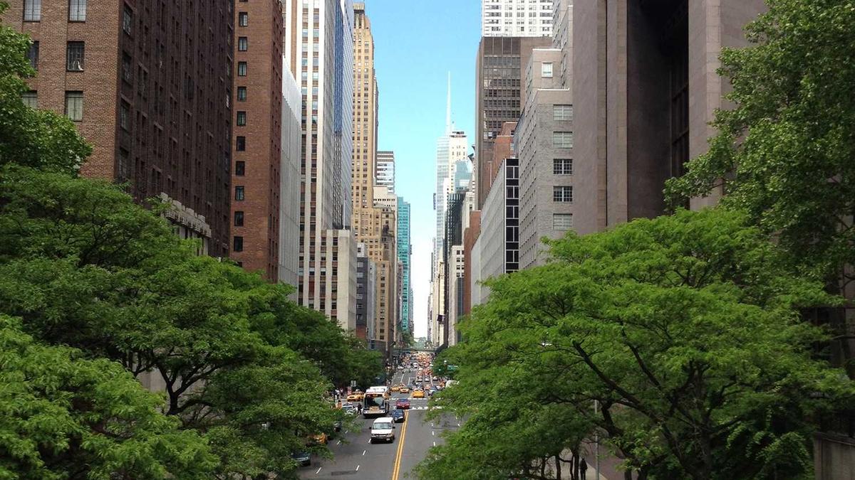 Detailansicht: Buckelwal Ostsee