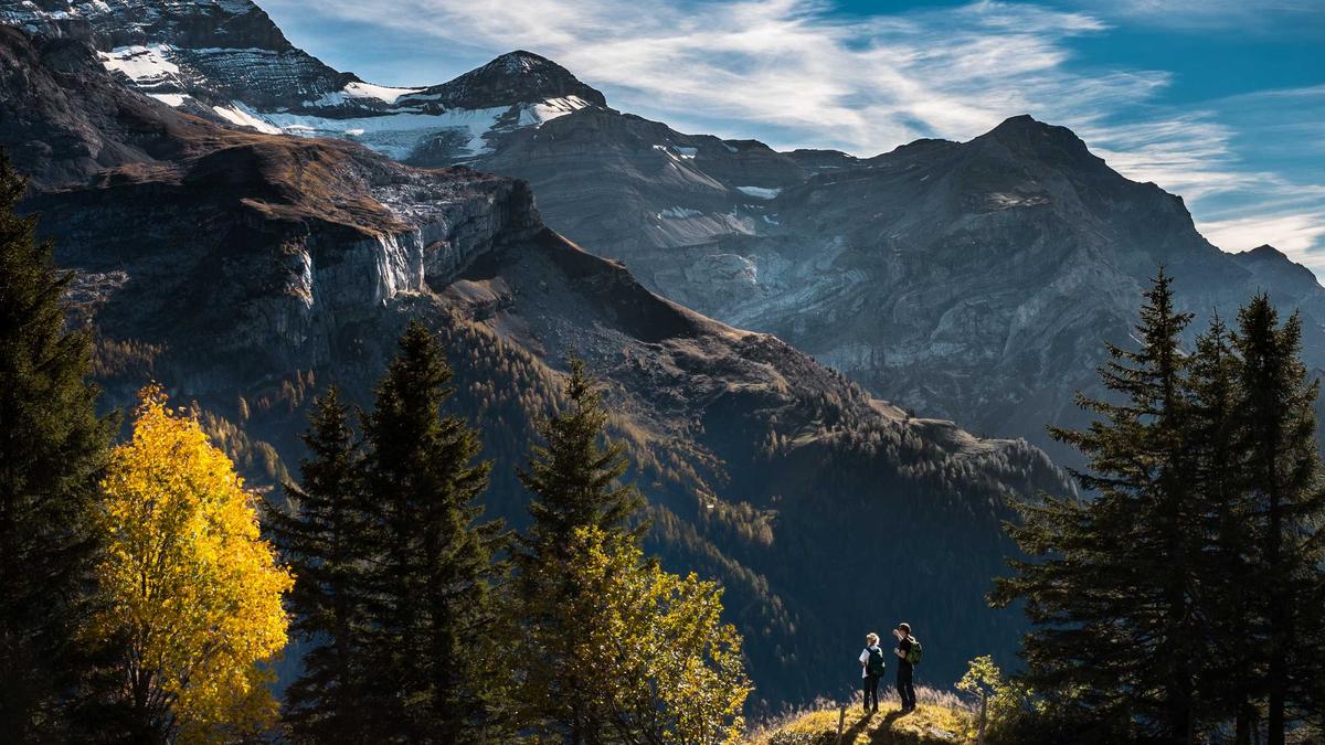 Illustration zu Bundestag Spritpreise