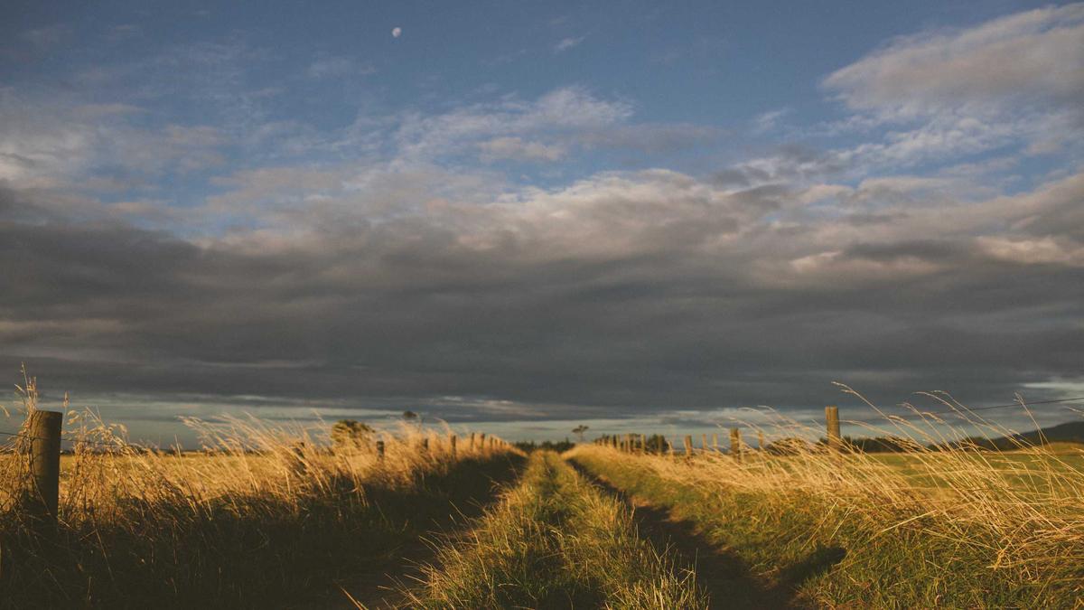 Illustration zu BVB News