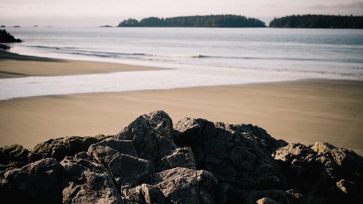 Symbolbild zum Thema BVB News