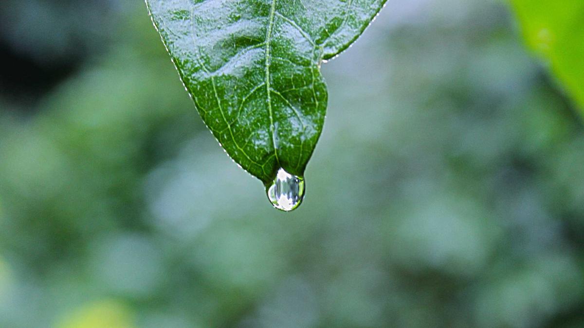 Illustration zu Der Dänemark Krimi Die Tote In Den Dünen