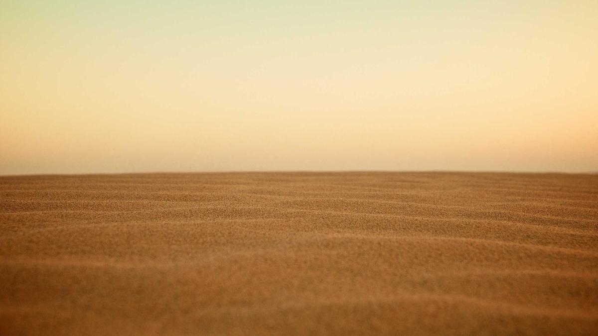 Dieter Bohlen Illustration zu Dieter Bohlen