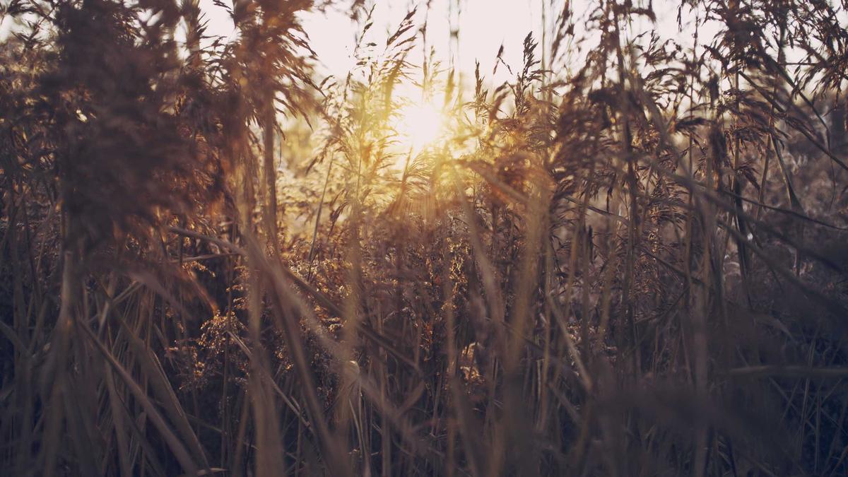 Digitale Gewalt Illustration zu Digitale Gewalt